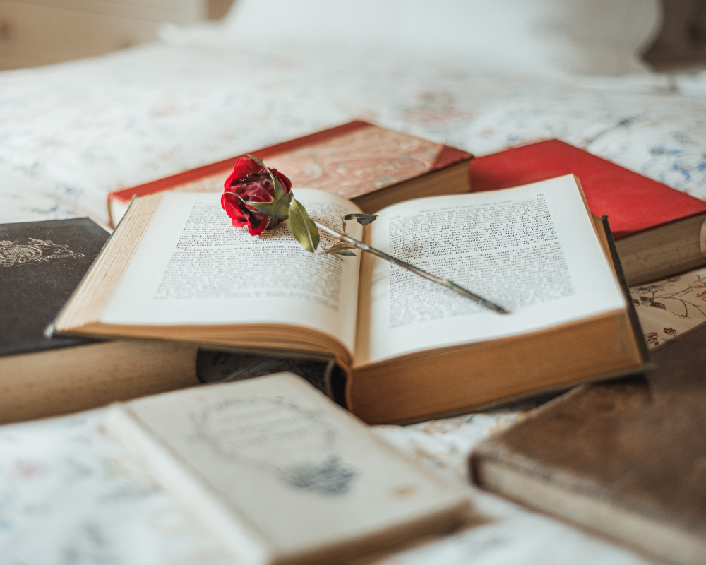 کتابی عاشقانه و یک گل رز قرمز روی آن - مری کلاب وی ای پی