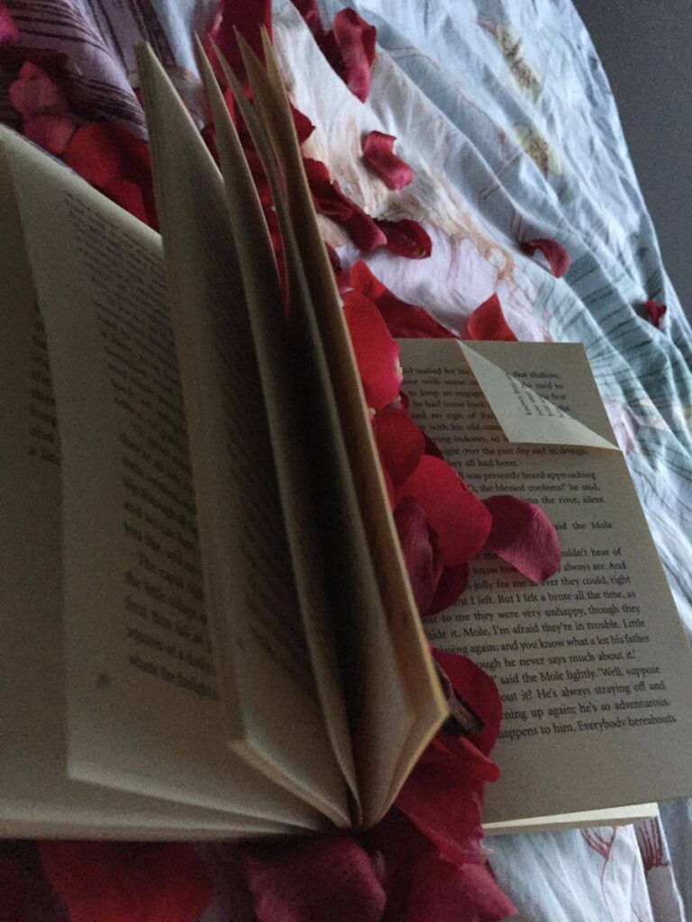 a book on the bed with romantic roses flower marry club vip